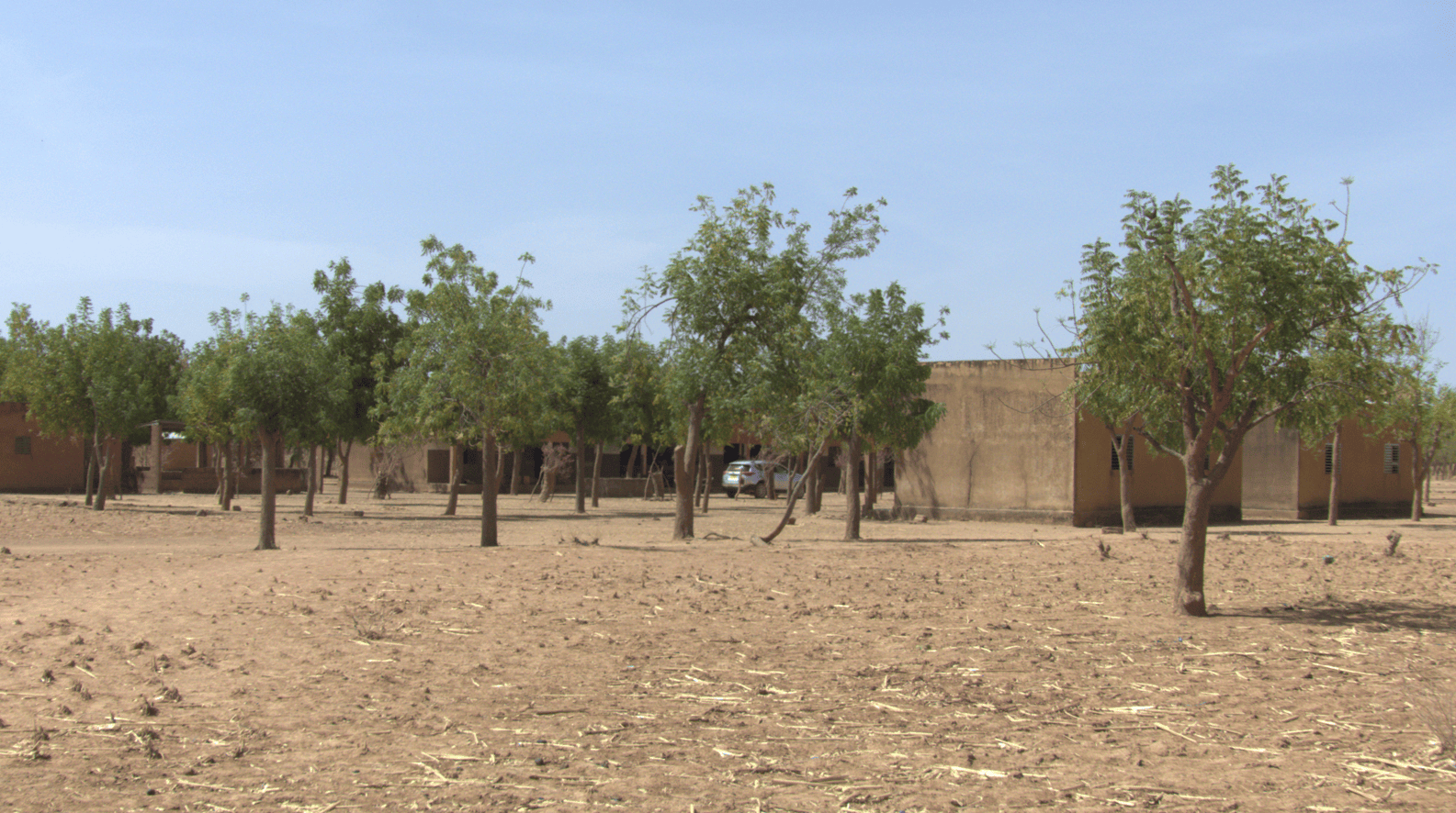Site de Lengo avec arbres et école.